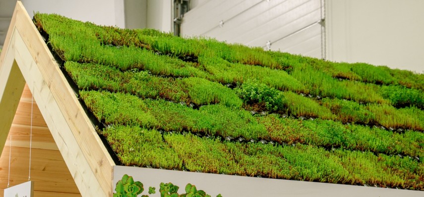 Какви иновативни екологичните решения ще бъдат представени на Green Energy 2025?