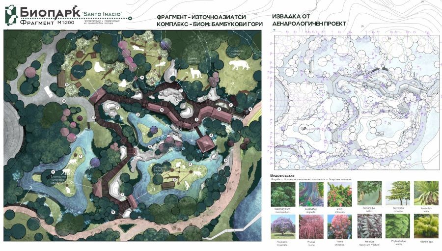 Детайлен фрагмент – Биом „Бамбукови гори“ и извадка от дендрологичен проект