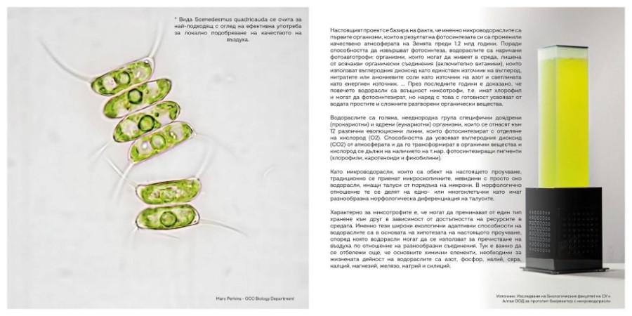 Информационно пано с проучване за фотосинтезата на микроводораслите и прототип на биореактор.